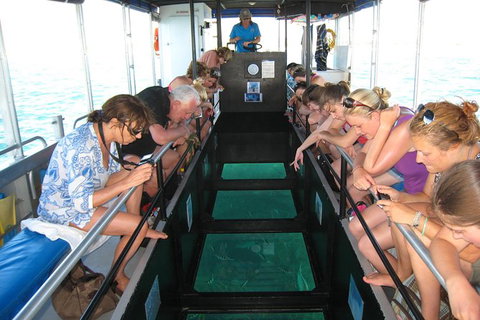 Coral Bay 1-Hour Coral Viewing - Tourism Brisbane 3