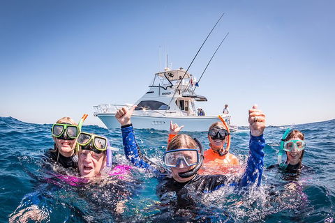 Life On Ningaloo Swimming Tour In Exmouth - Brisbane Tourism 4