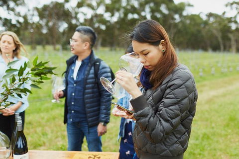 Organic Vineyard/Farm Tour - Brisbane 4u 1