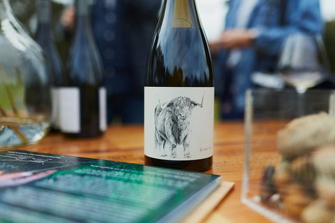 Organic Vineyard/Farm Tour - Brisbane 4u 5
