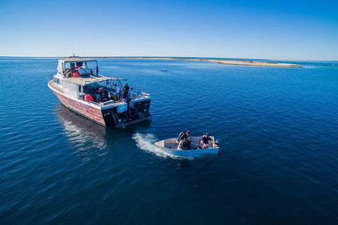 Abrolhos Islands 4 Day Fishing Charter - Tourism Brisbane 0