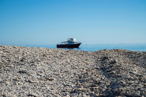 Abrolhos Islands 4 Day Fishing Charter - Tourism Brisbane 1
