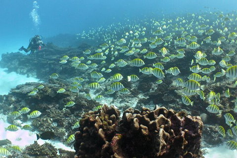 5 Night Ningaloo Reef Ningaloo Escape From Coral Bay - Tourism Brisbane 5