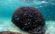 5 Night Ningaloo Reef Ningaloo Escape From Coral Bay - thumb 3