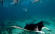 5 Night Ningaloo Reef Ningaloo Escape From Coral Bay - thumb 1