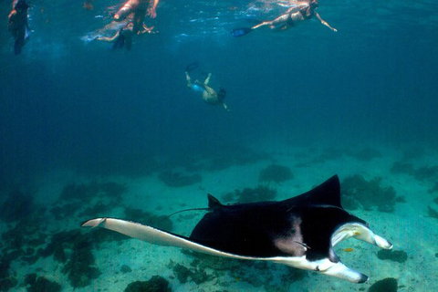 5 Night Ningaloo Reef Ningaloo Escape From Coral Bay - Tourism Brisbane 1