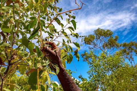 Mitchell Falls And Kimberley Coastal Camp (3night) - Tourism Brisbane 2