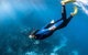 Full-Day Whale Watching Snorkeling And Swimming At Coral Bay - thumb 2