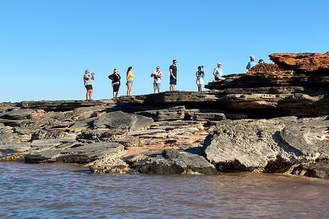 Scenic And Prehistoric Boat Tour - Brisbane Tourism 18