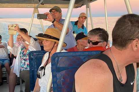Scenic And Prehistoric Boat Tour - Brisbane Tourism 20