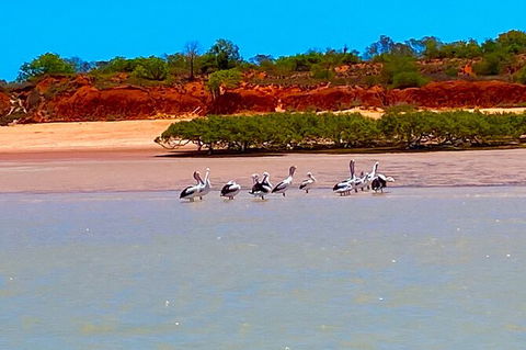 Scenic And Prehistoric Boat Tour - Brisbane Tourism 26