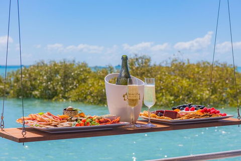 Scenic And Prehistoric Boat Tour - Brisbane Tourism 17