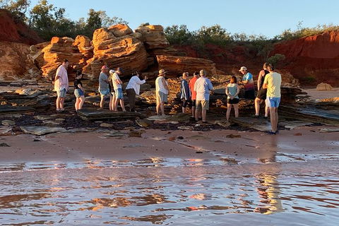 Scenic And Prehistoric Boat Tour - Brisbane Tourism 5