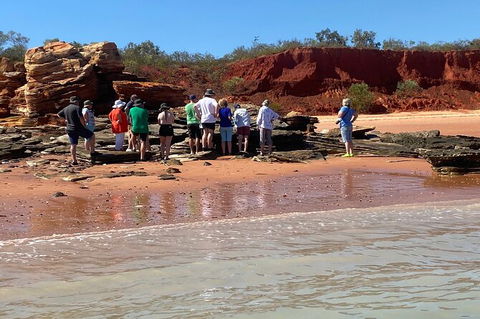 Scenic And Prehistoric Boat Tour - Brisbane Tourism 27