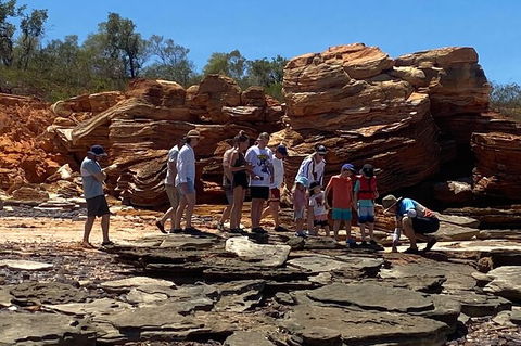 Scenic And Prehistoric Boat Tour - Brisbane Tourism 12