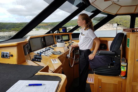 Full-Day Killer Whale Expedition From Albany - Brisbane Tourism 4