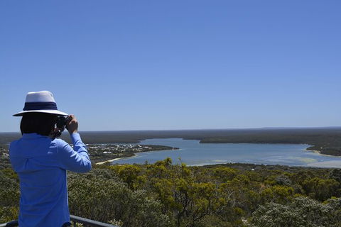 Full-Day Killer Whale Expedition From Albany - Brisbane Tourism 5