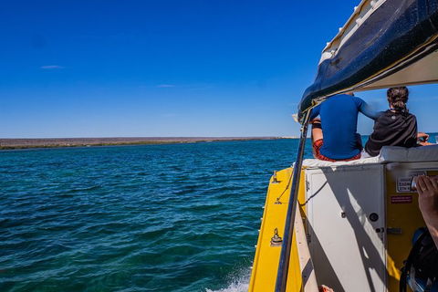 Ningaloo Immersion Private Charter - Brisbane Tourism 0