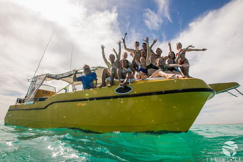 Ningaloo Immersion Private Charter - Brisbane Tourism 9