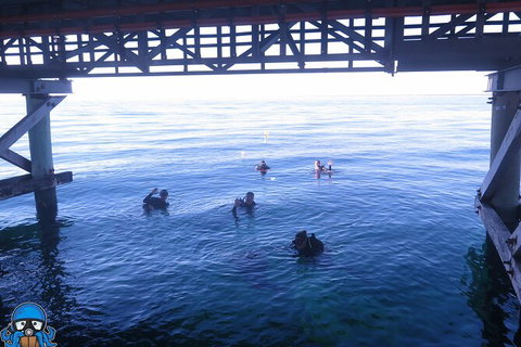 PADI Open Water Course - Tourism Brisbane 3