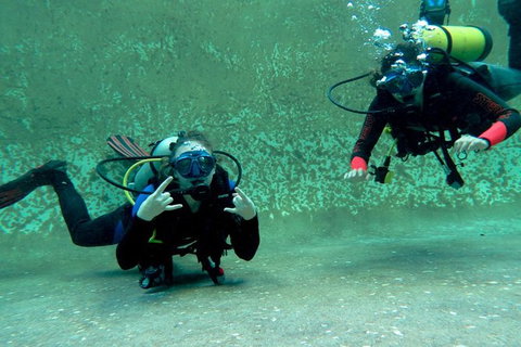PADI Open Water Course - Tourism Brisbane 4