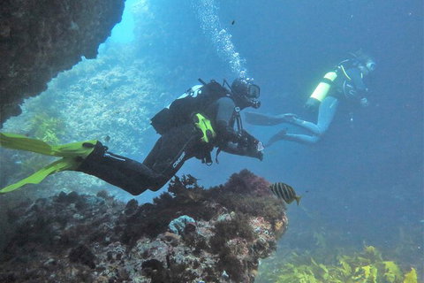 PADI Open Water Course - Tourism Brisbane 2