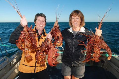 Abrolhos Islands 5 Day Tours - Tourism Brisbane 1