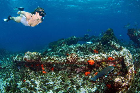 Abrolhos Islands 5 Day Tours - Tourism Brisbane 3