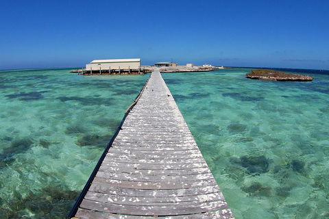 Abrolhos Islands 5 Day Tours - Tourism Brisbane 4