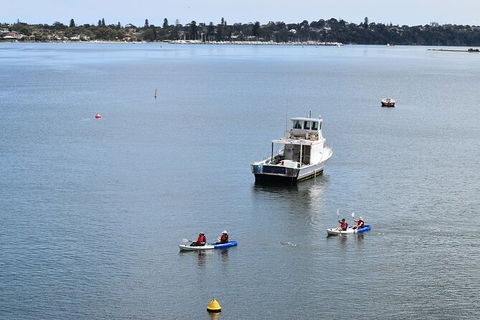 Cliffs And Caves Kayak Tour In Swan River - Tourism Brisbane 5