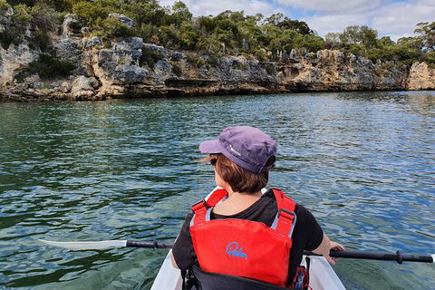 Cliffs And Caves Kayak Tour In Swan River - Tourism Brisbane 1