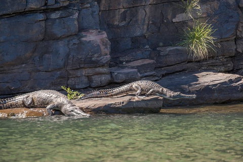 Ord River Discoverer With Sunset - Brisbane Tourism 6
