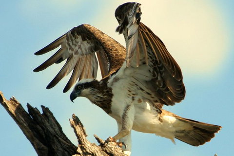Ord River Discoverer With Sunset - Brisbane Tourism 1