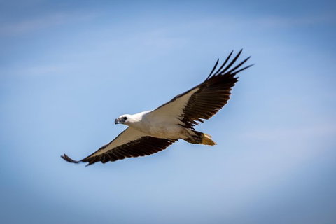 Ord River Discoverer With Sunset - Brisbane Tourism 4