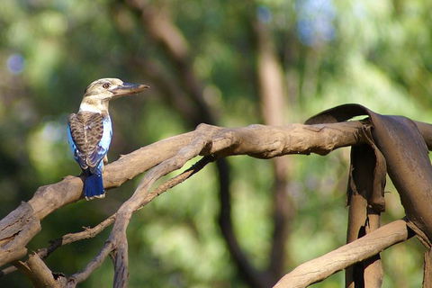 Ord River Experience With Riverside Lunch - Tourism Brisbane 1