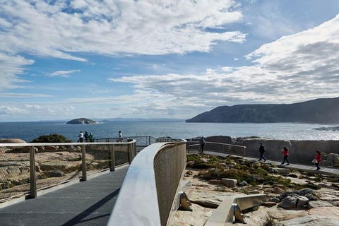 Discover Torndirrup National Park: The Gap & Natural Wonders Tour - Brisbane Tourism 5
