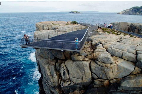 The Gap & Natural Wonders Guided Tour - Brisbane Tourism 5