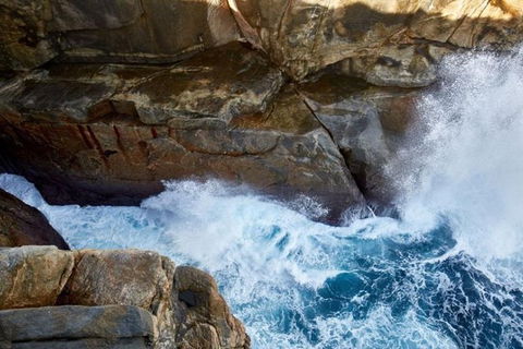 The Gap & Natural Wonders Guided Tour - Brisbane Tourism 4