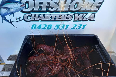 Lobster Fishing Tour At Geraldton - Tourism Brisbane 0