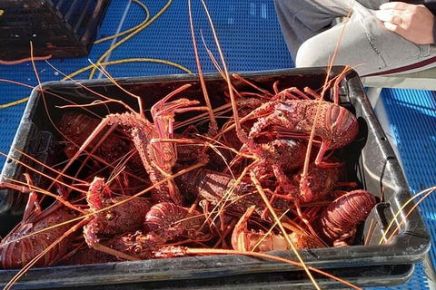 Lobster Fishing Tour At Geraldton - Tourism Brisbane 6