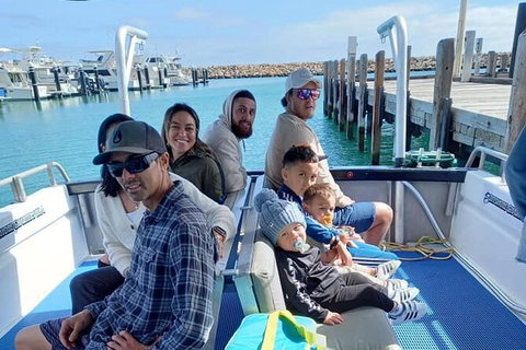 Whale Watching Boat Tour In Geraldton - Tourism Brisbane 1