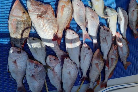 Geraldton Fishing Charter - Tourism Brisbane 7