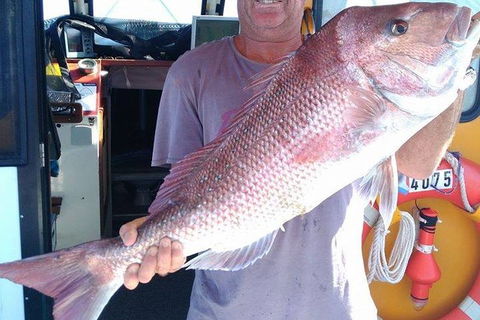 Geraldton Fishing Charter - Tourism Brisbane 10