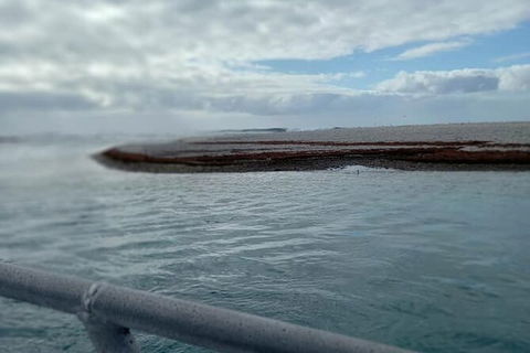 Abrolhos Islands Fishing Charter - Tourism Brisbane 6