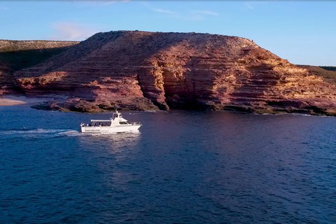 Kalbarri Sunset Coastal Cliff Cruise - Brisbane Tourism 4