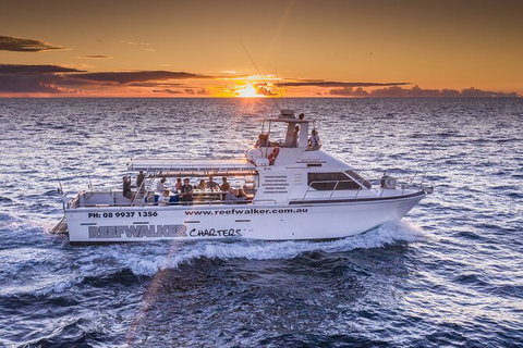 Kalbarri Sunset Coastal Cliff Cruise - Brisbane Tourism 1