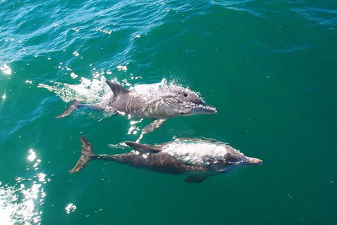 Sailing Kayak Adventure Through The Peel Harvey Estuary - Brisbane Tourism 1