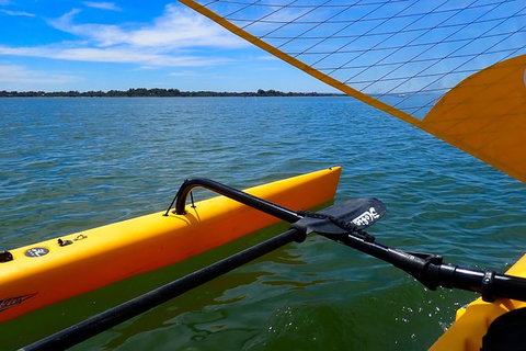 Sailing Kayak Adventure Through The Peel Harvey Estuary - Brisbane Tourism 3
