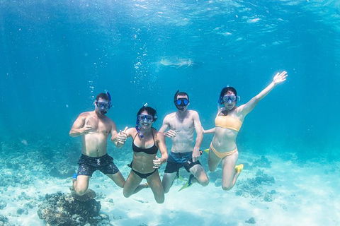 Full-Day Whale Sharks Swimming Experience On Ningaloo Reef - Brisbane Tourism 5