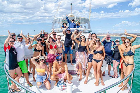 Full-Day Whale Sharks Swimming Experience On Ningaloo Reef - Brisbane Tourism 1